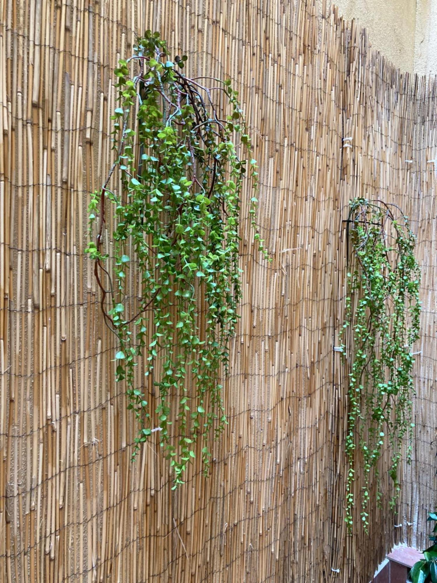 Mon Art Logroño Exterior foto